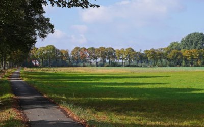 Comment choisir son terrain pour construire ?