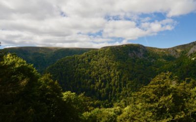 5 raisons pour lesquelles vous allez aimer vivre dans les Vosges