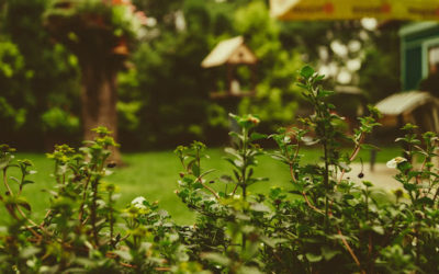 5 astuces pour aménager un petit jardin